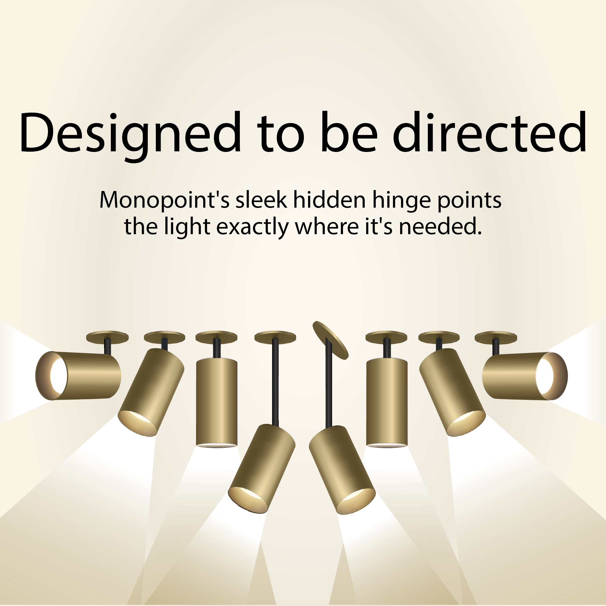 MONOPOINT